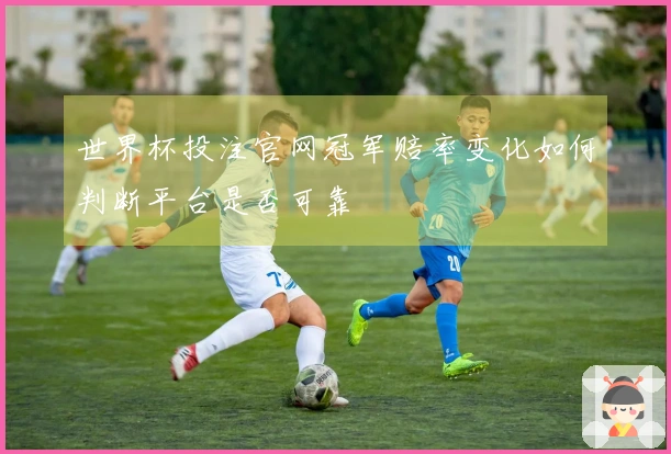 世界杯投注官网冠军赔率变化如何判断平台是否可靠